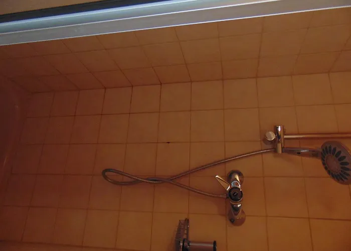 Gasthaus Rebstock Inn Alken